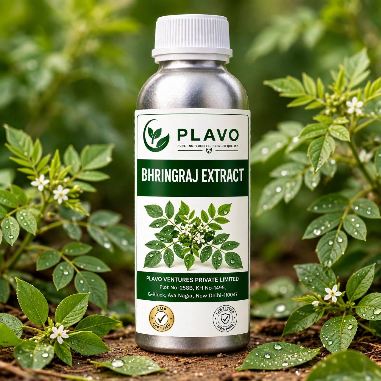 Bhringraj Liquid Extract - Oil Soluble