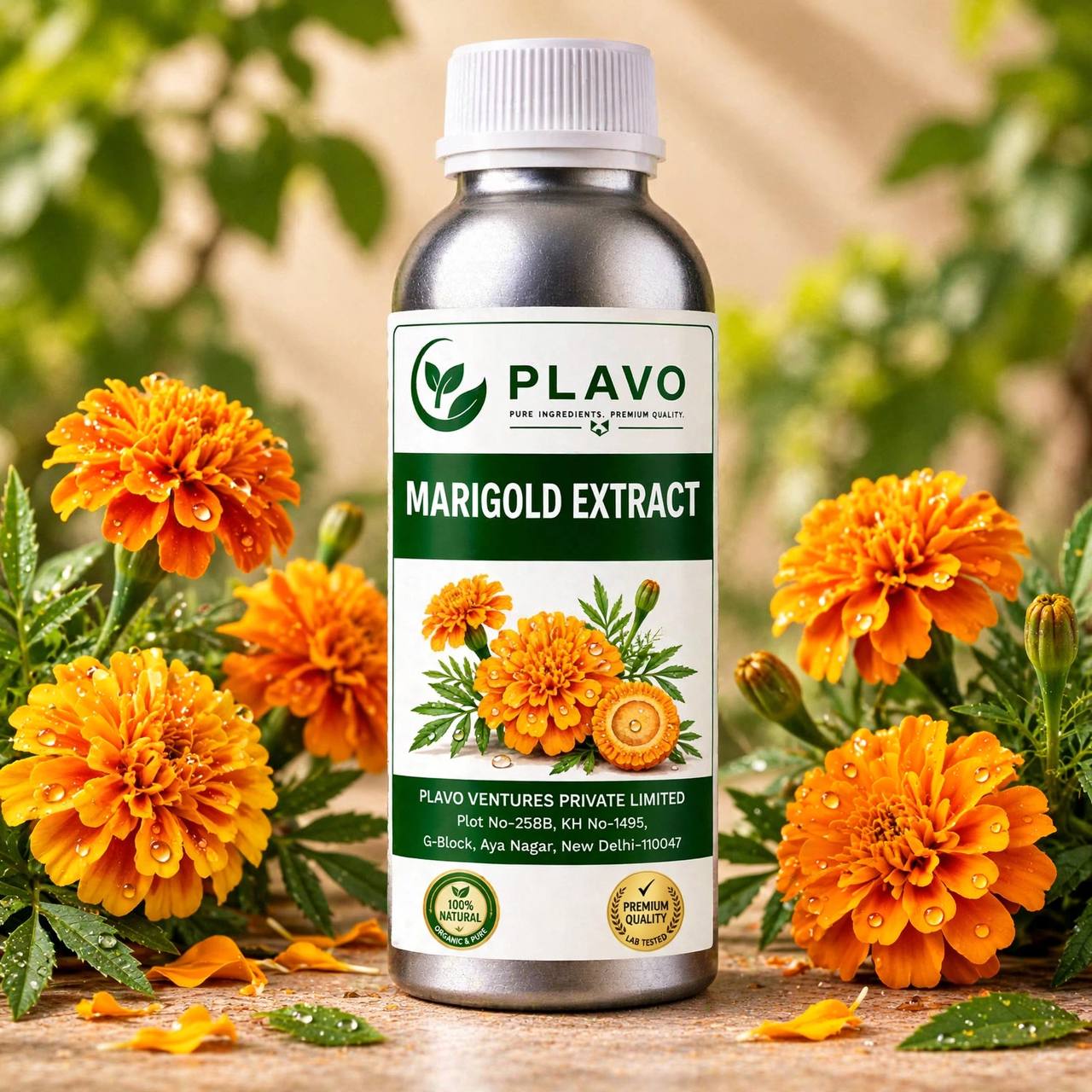Marigold Extract - Oil Soluble