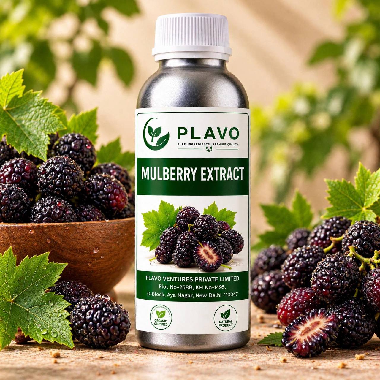 Mulberry Extract - Water Soluble (Butylene Glycol)