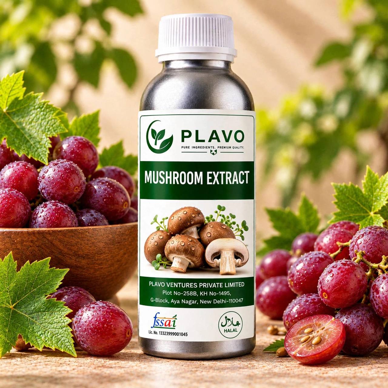 Mushroom Extract - Water Soluble